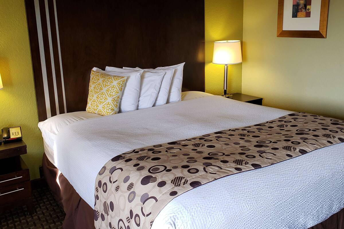 A hotel room with a large bed, multiple pillows, a patterned bedspread, a nightstand with a lamp, and a framed picture on the wall.