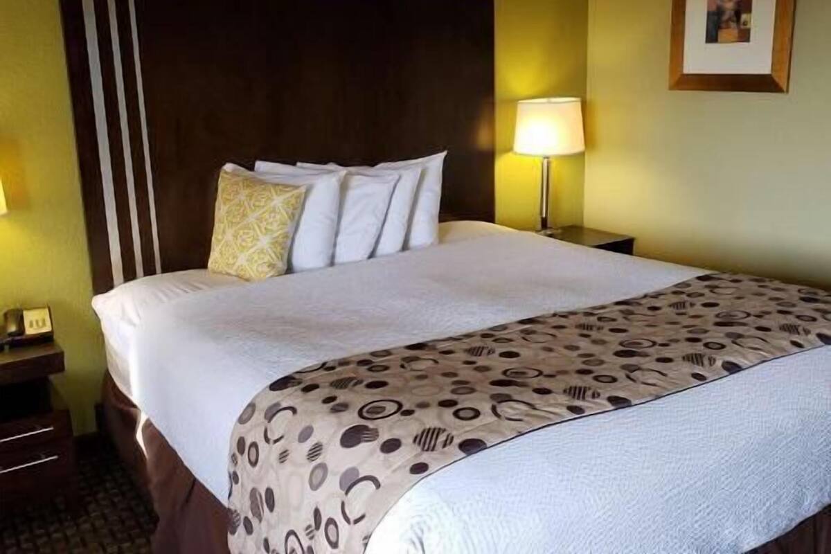 A hotel room with a large bed, a wooden headboard, a patterned bedspread, a bedside table with a lamp, and a framed picture on the wall.