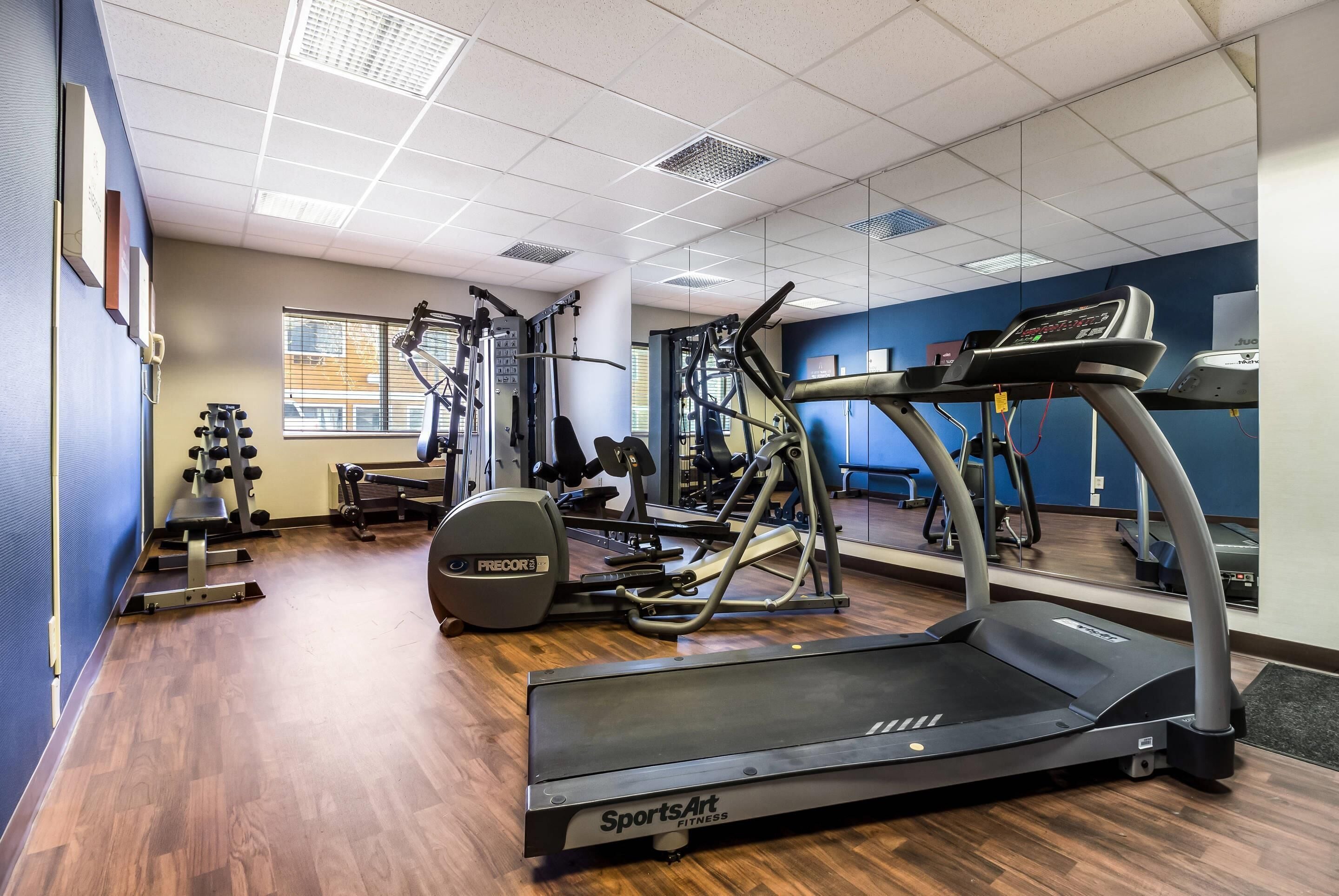 A gym with a treadmill, weight machines, and dumbbells.