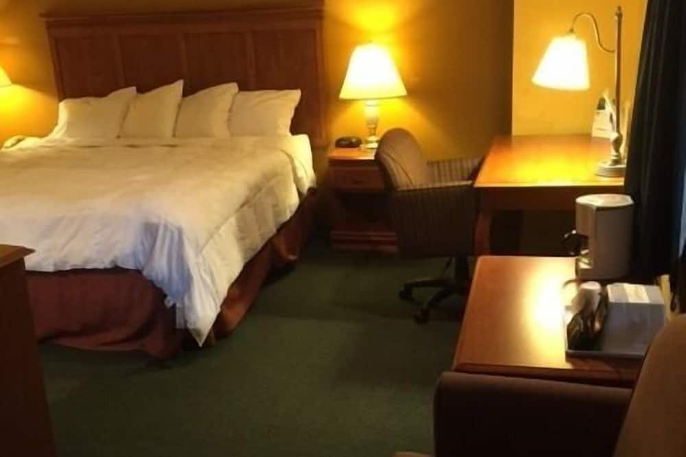 Regency Inn And Suites