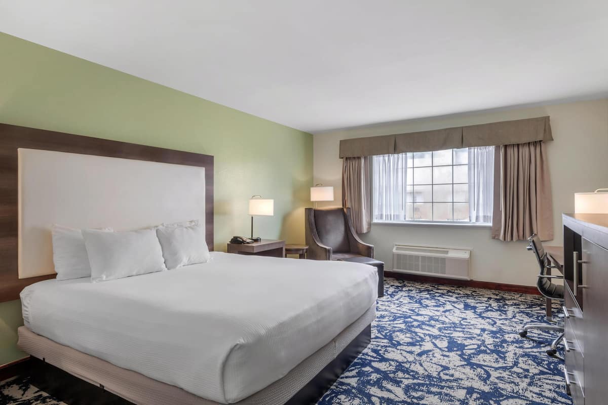 Standard Room, 1 King Bed, Non Smoking, Refrigerator & Microwave | Pillow-top beds, desk, laptop workspace, blackout curtains