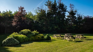 A grassy outdoor area with picnic tables and dense trees in the background.