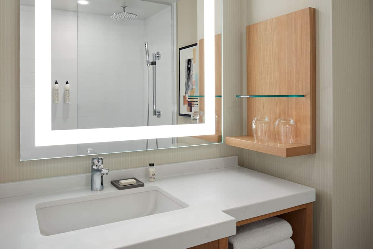 combined shower/bathtub, free toiletries, hair dryer, towels