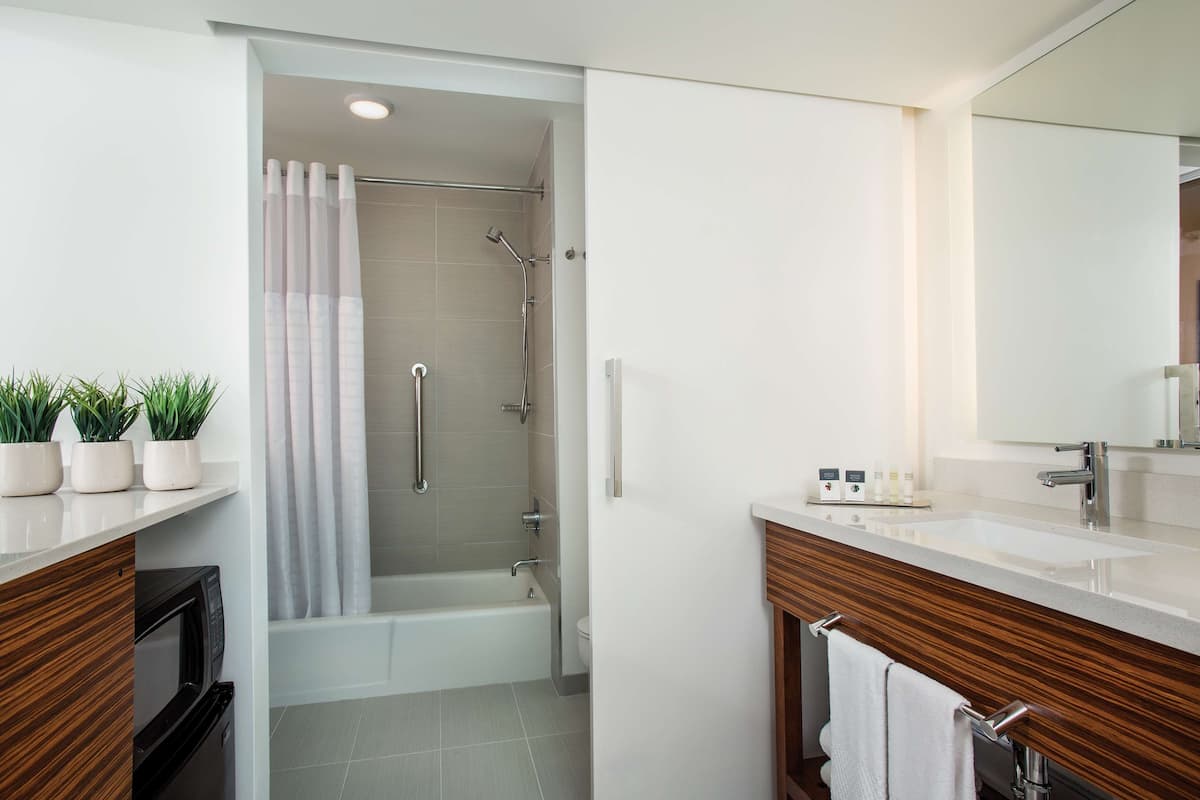 eco-friendly toiletries, hair dryer, towels