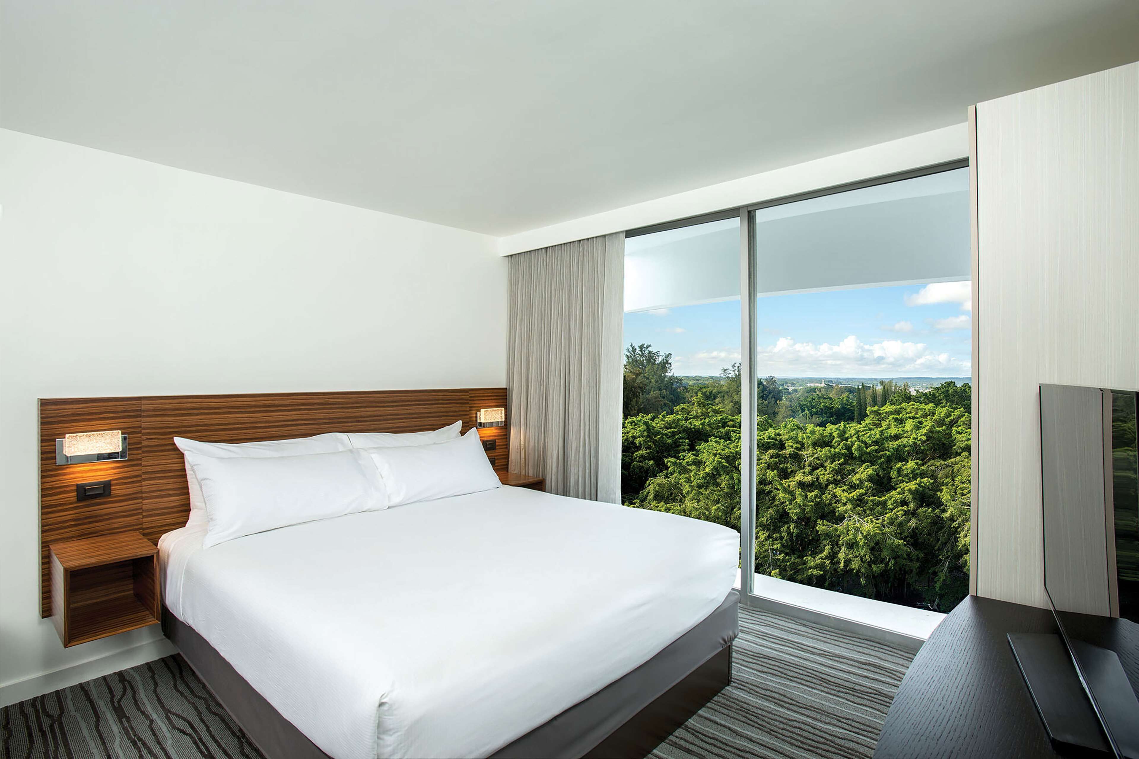 Hotelkamer met een groot bed, een houten hoofdbord, een nachtkastje, een televisie en uitzicht op een bos door een glazen schuifdeur.