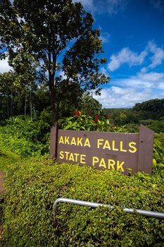 Hiking at Grand Naniloa Hotel Hilo - a Doubletree by Hilton