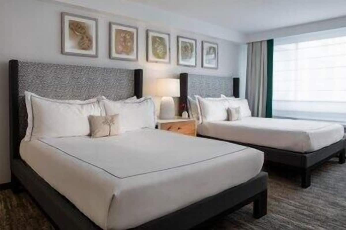 Premium bedding, Tempur-Pedic beds, in-room safe, desk