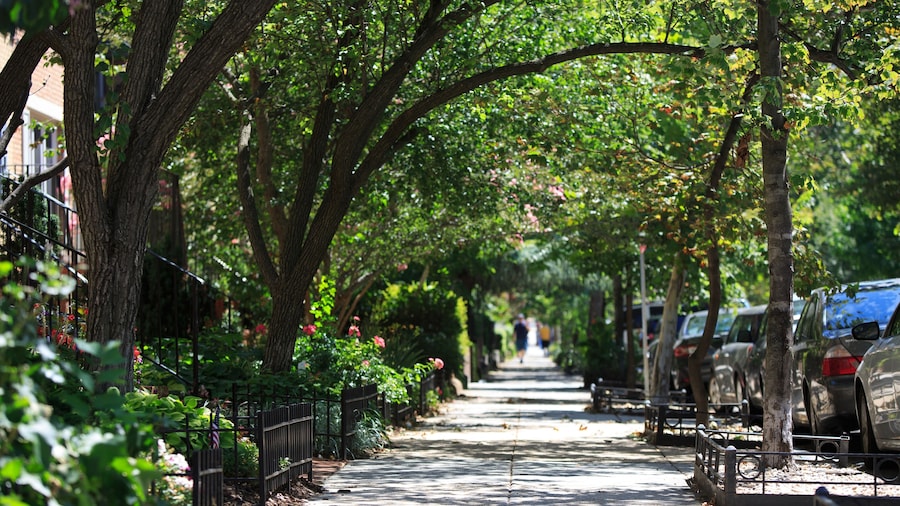 Glover Park - Georgetown