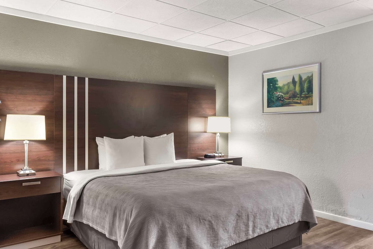 Standard Room, 1 King Bed, Non Smoking (No Pets) | In-room safe, desk, blackout curtains, iron/ironing board