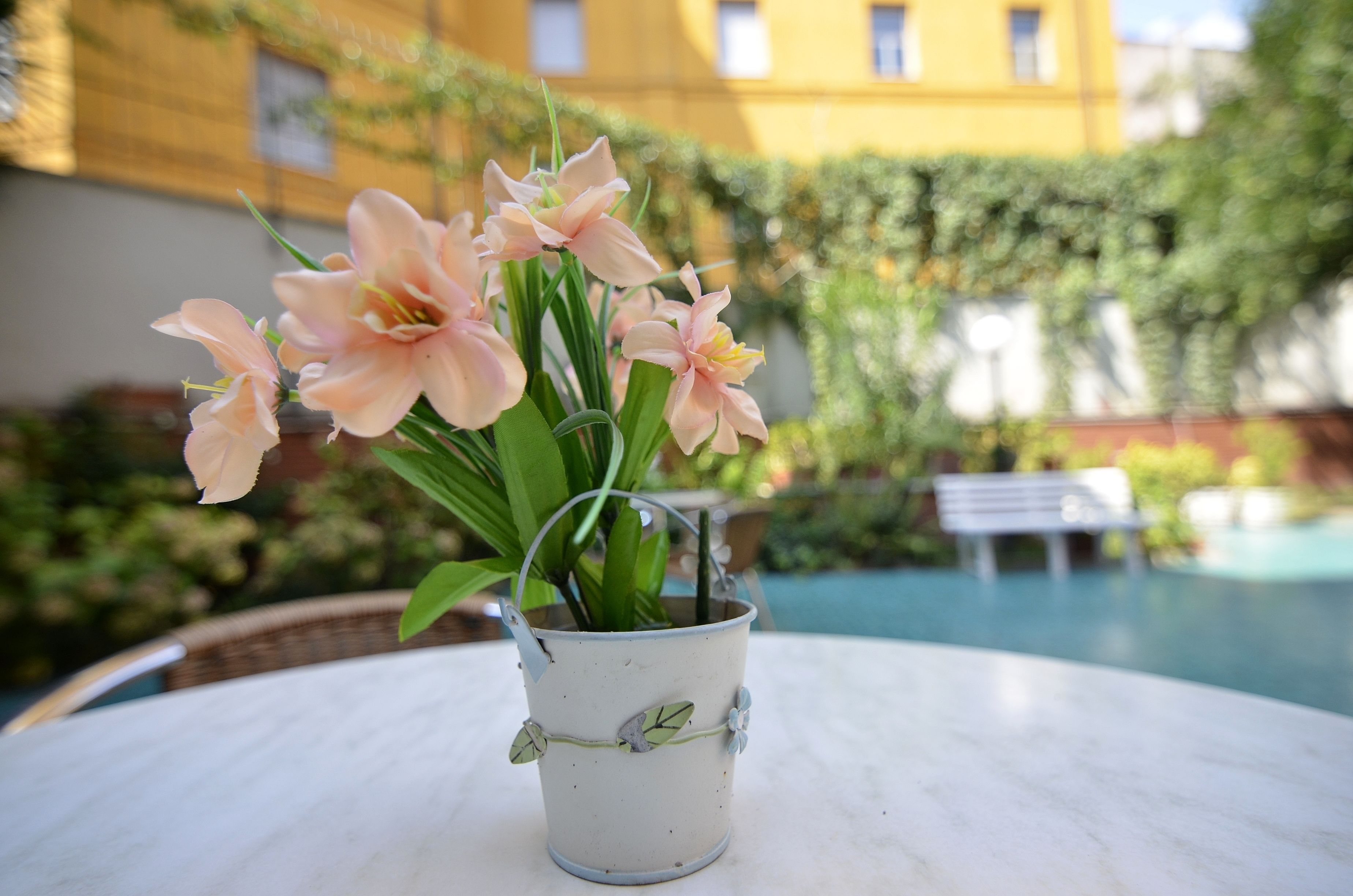 Photo - Hotel Tirreno