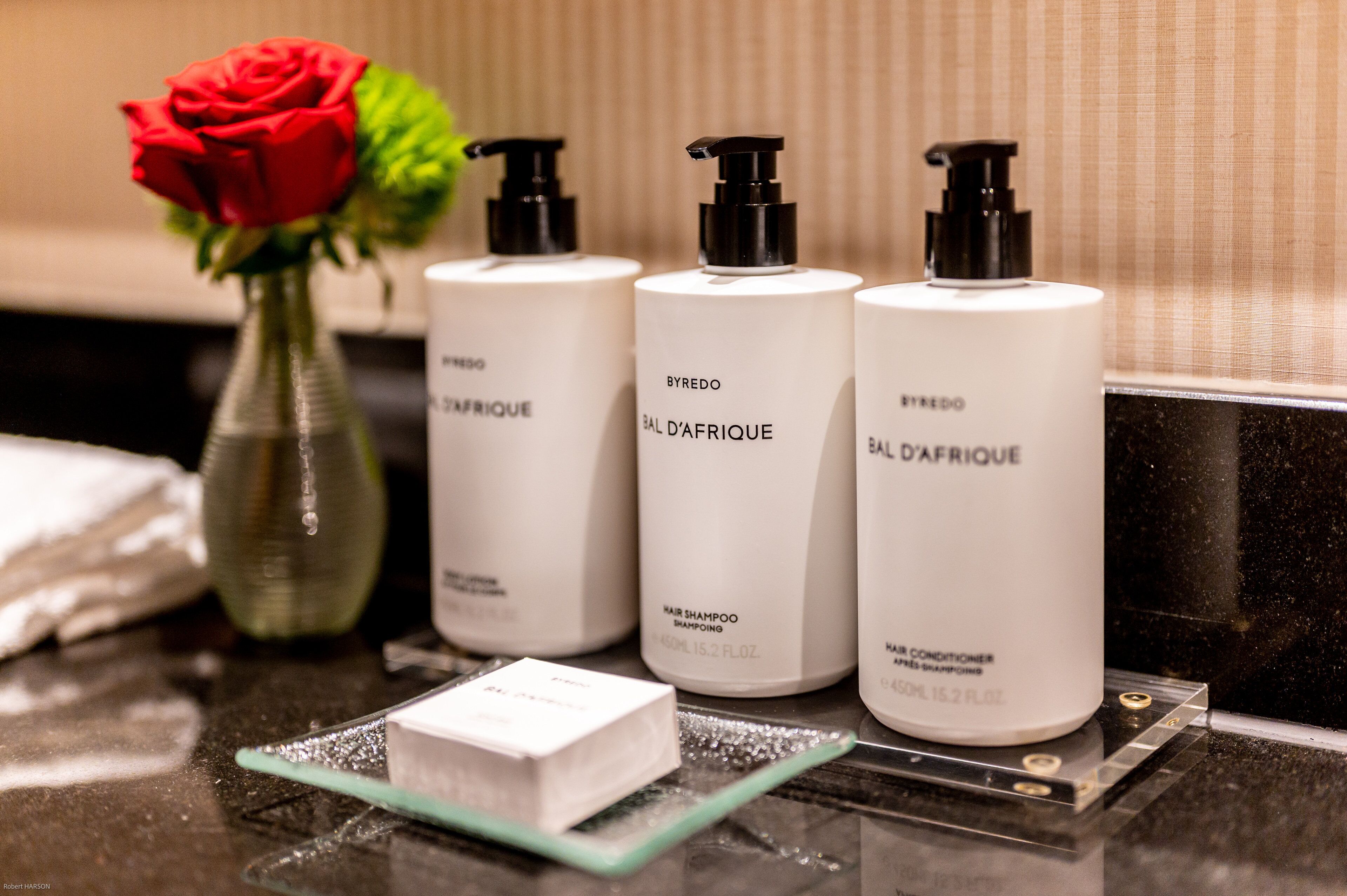 shower, eco-friendly toiletries, hair dryer, bathrobes