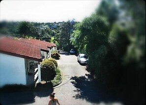 A narrow street with houses on one side and a parked car on the other. - Browns Bay Olive Tree Motel & Apartment (Auckland)