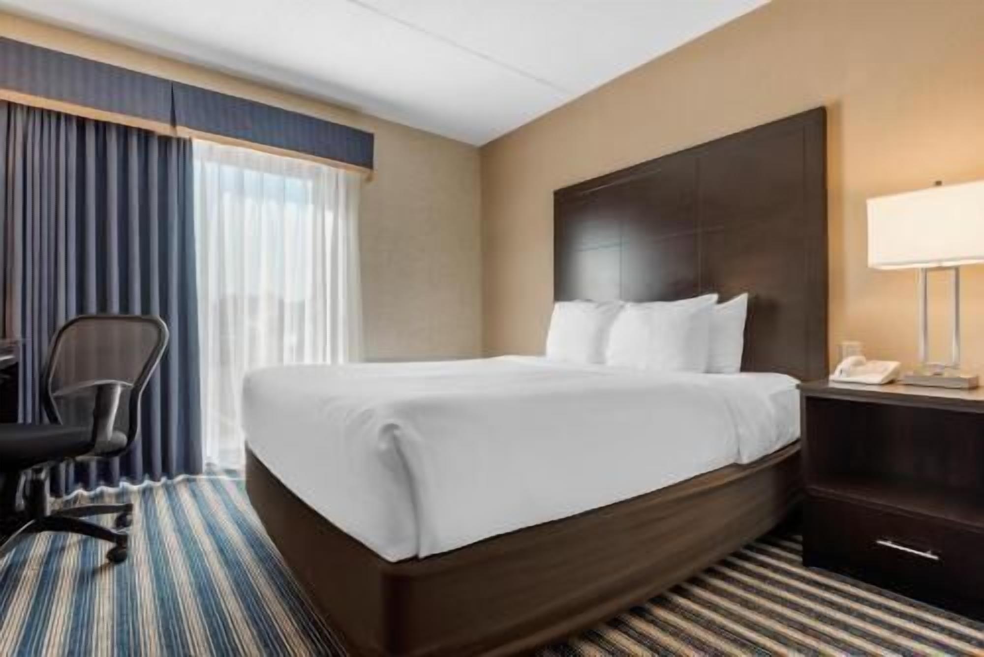 Ropa de cama de alta calidad, escritorio, cortinas opacas