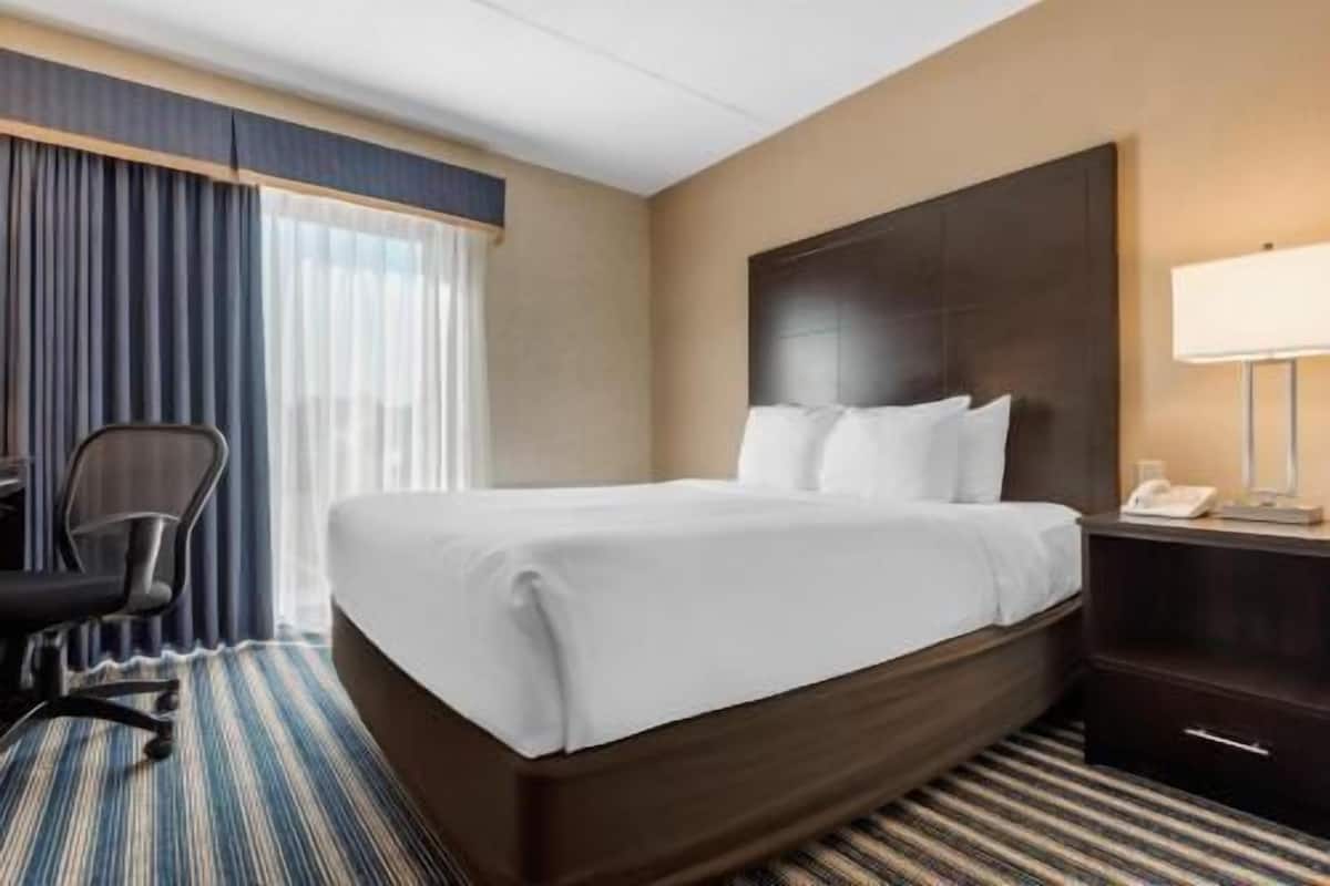 Premium bedding, desk, blackout drapes, soundproofing