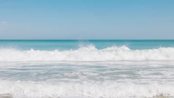 En la playa, camas de playa (con cargo), toallas de playa y surf