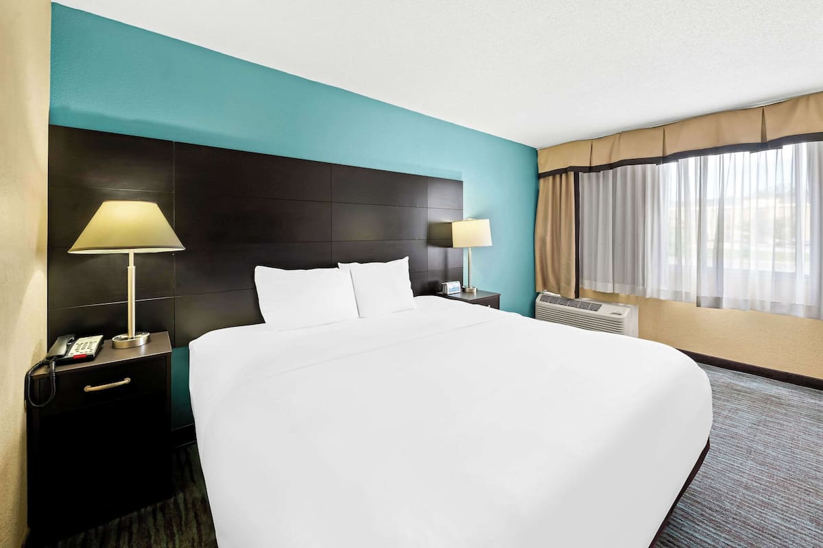 Room, 1 King Bed with Sofa bed, Accessible, Non Smoking | In-room safe, iron/ironing board, free cots/infant beds, free WiFi