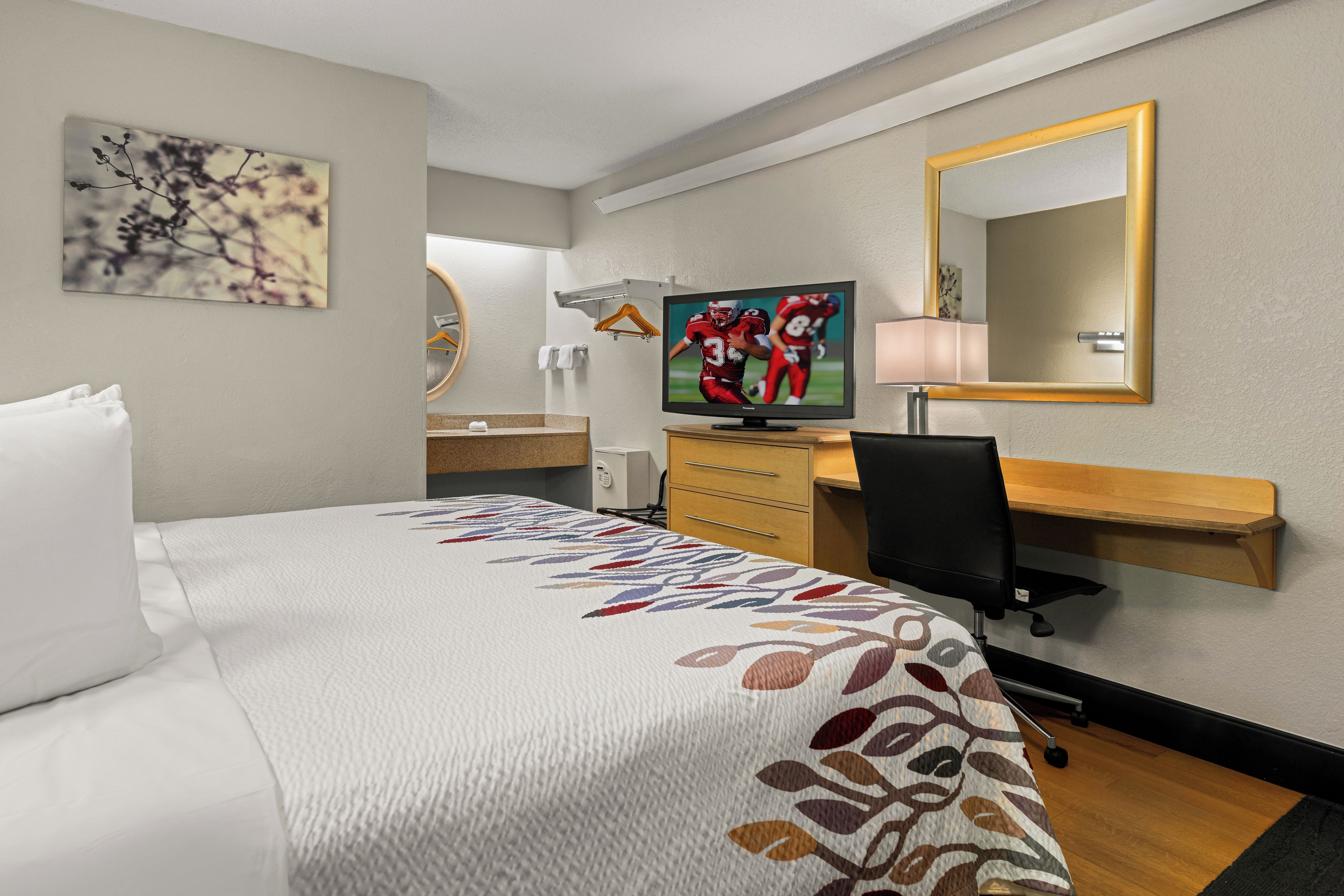 Habitación de hotel con cama, escritorio, televisor, espejo y un cuadro en la pared.