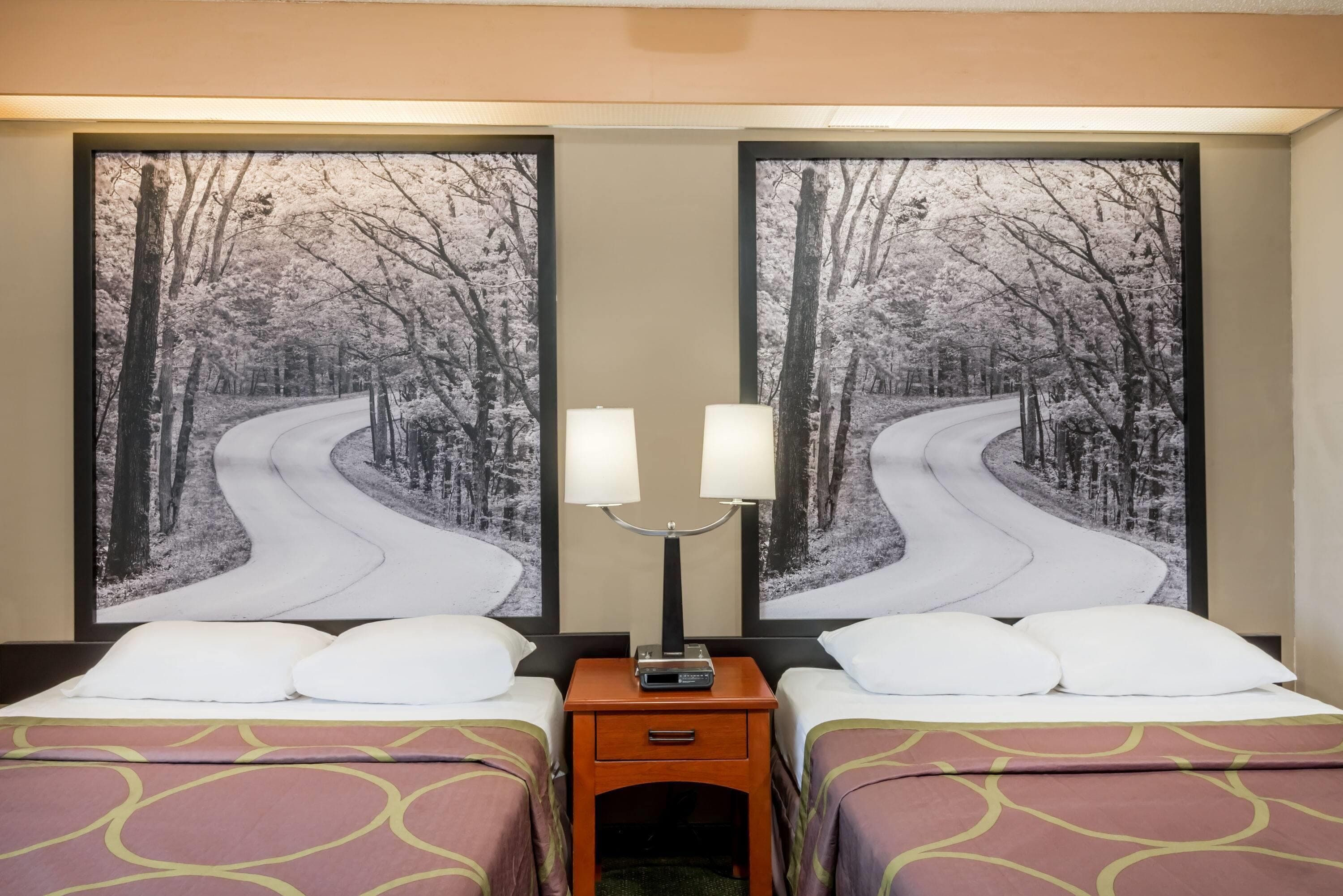 A hotel room with two beds, a nightstand with a lamp, and two large framed pictures of a snowy road.