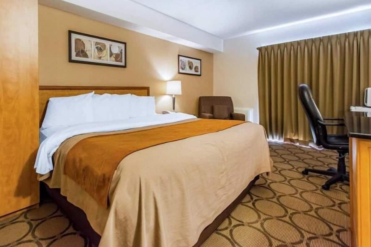 A hotel room with a bed, a desk, a chair, and two framed pictures on the wall.