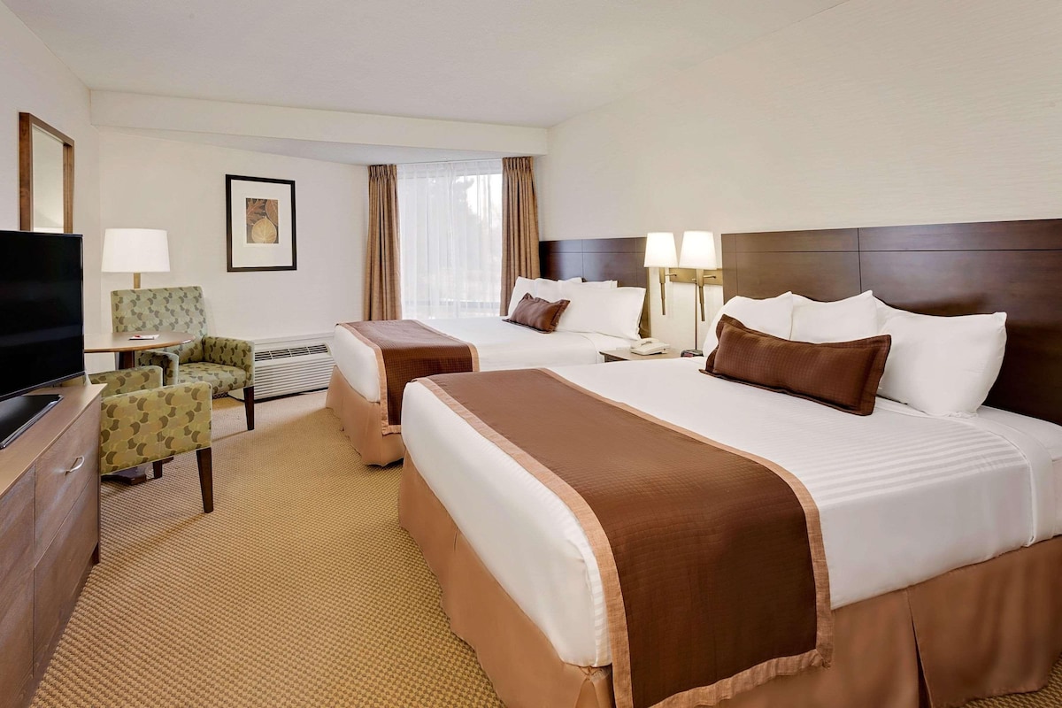 In-room safe, desk, blackout drapes, soundproofing