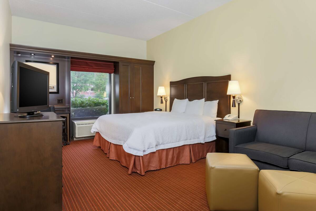A hotel room with a bed, a TV, a desk, a couch, and a window with a view of greenery.