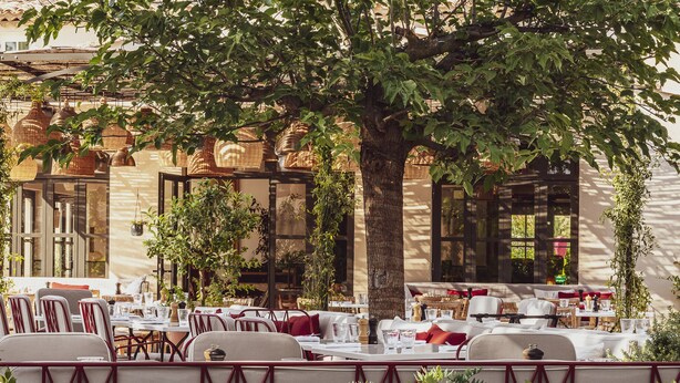 Un espacio para comer al aire libre con mesas dispuestas para dos, rodeado de vegetación y un gran árbol.