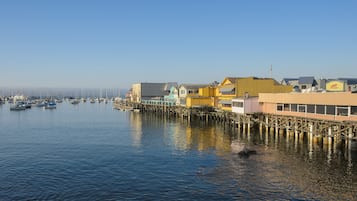 Een pand aan het water met een steiger die uitsteekt in het rustige water, met kleurrijke gebouwen en boten.