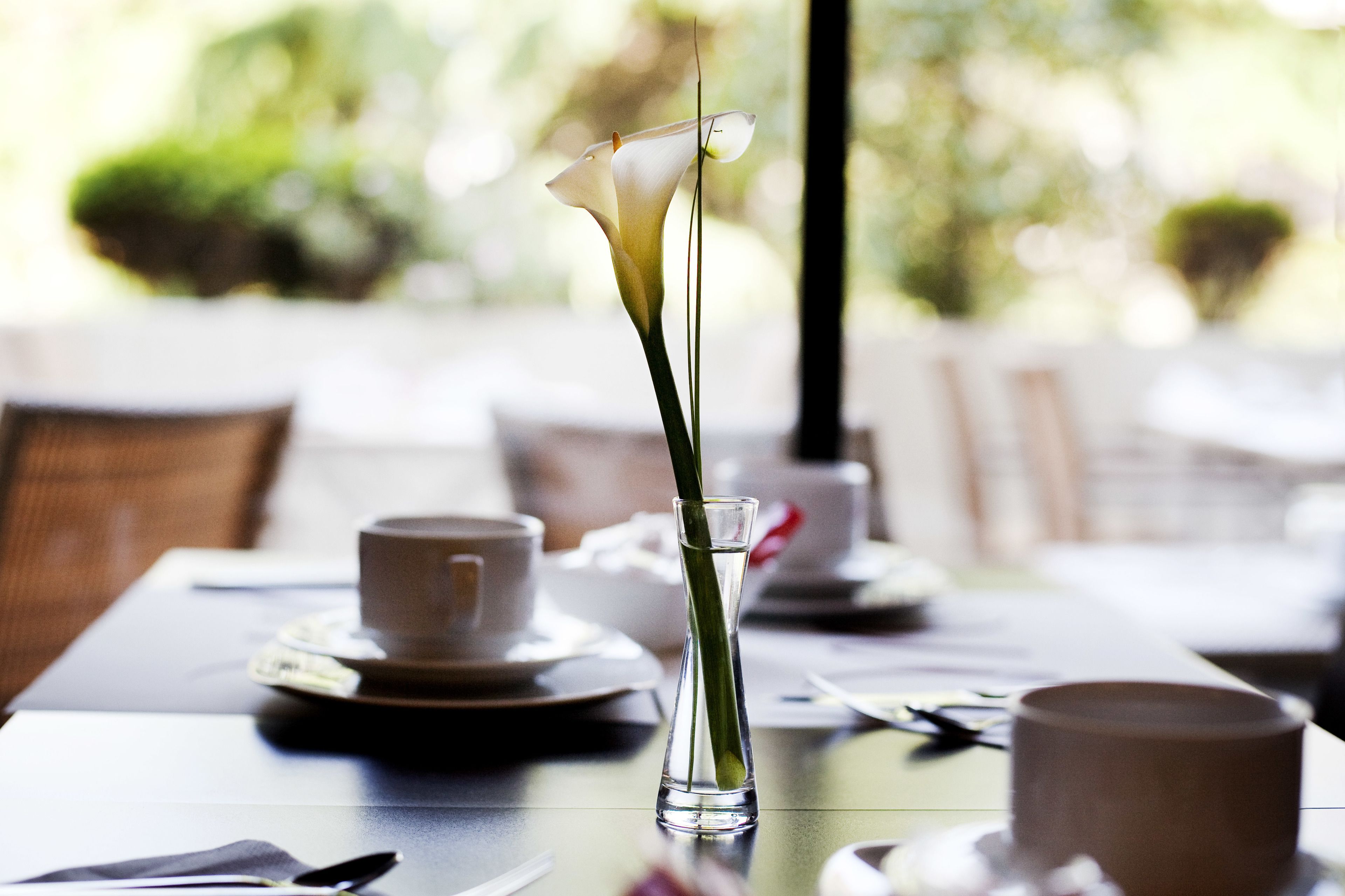 daily continental breakfast (eur 19.50 per person)