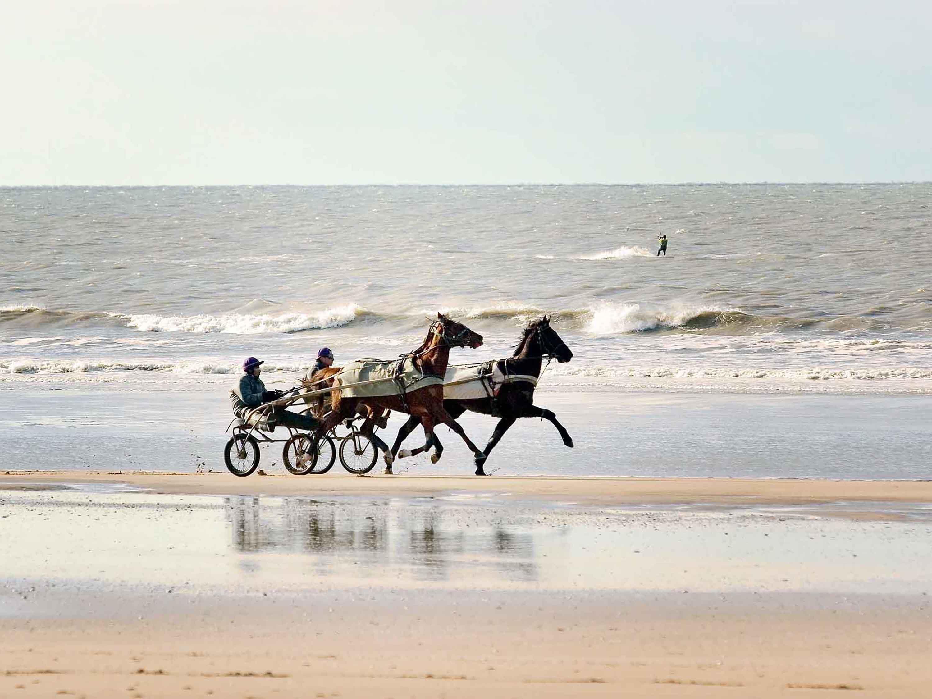 A beach scene with a horse-drawn carriage moving along the shore.
