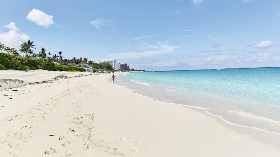 Hotel Riu Palace Paradise Island - Adults Only - All Inclusive