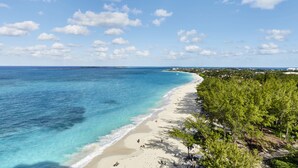 Ein Strand mit klarem türkisblauem Wasser, einem sandigen Ufer und einer Baumreihe.