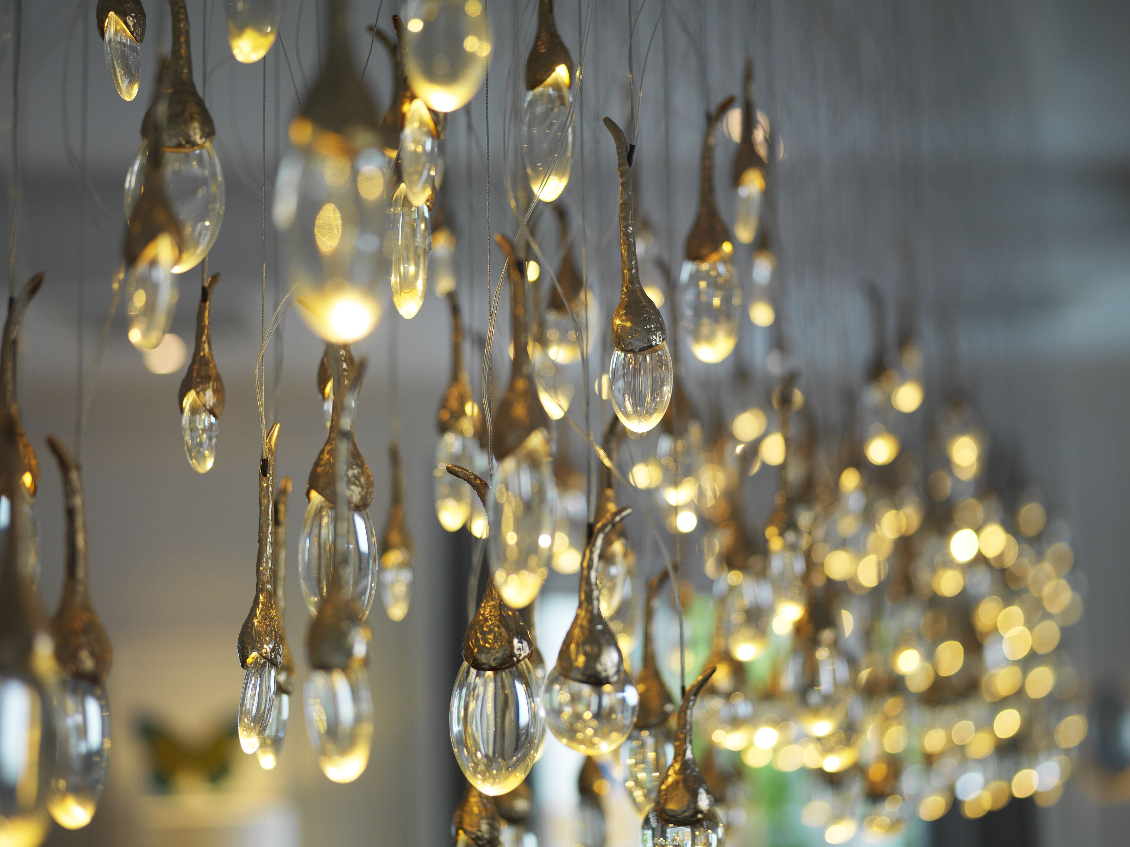 A close-up of hanging light bulbs with a blurred background.