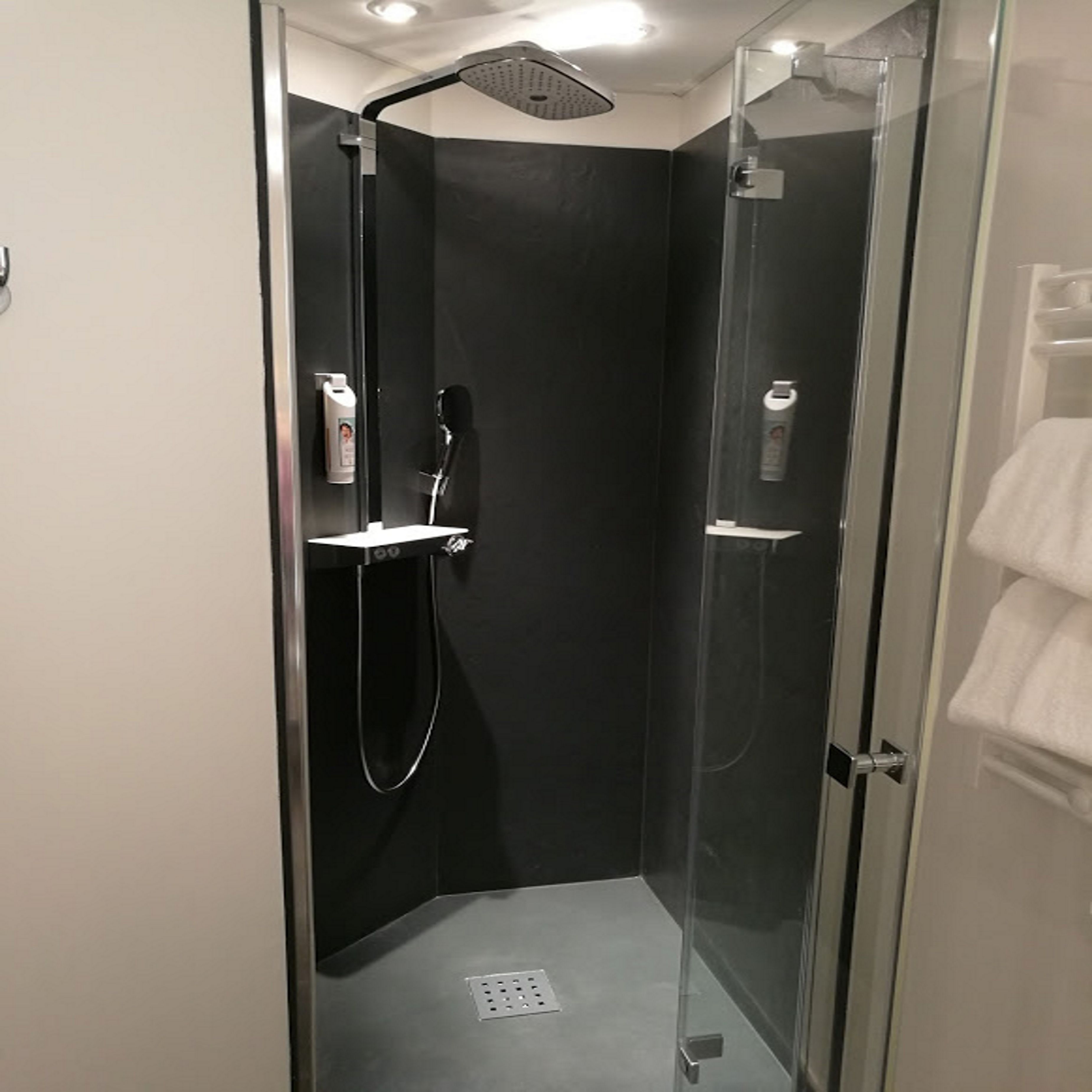 shower, eco-friendly toiletries, hair dryer, towels