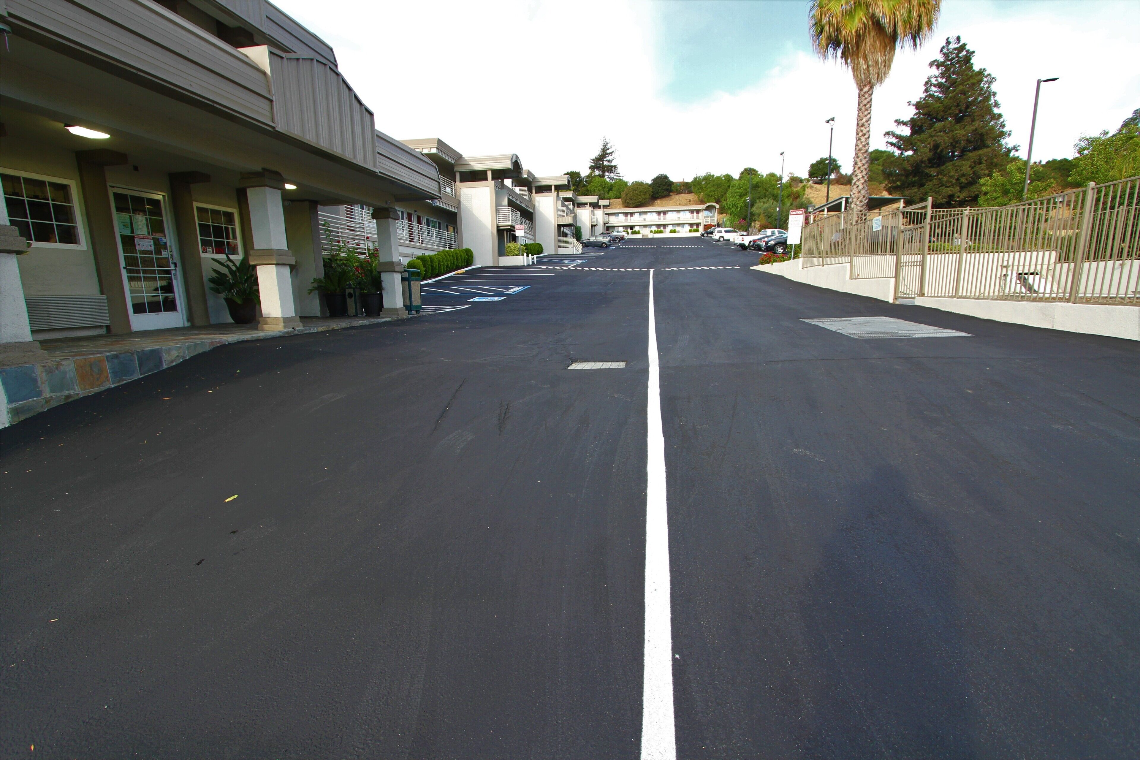 A parking lot with a white dividing line, a building with a flat roof, and a palm tree.