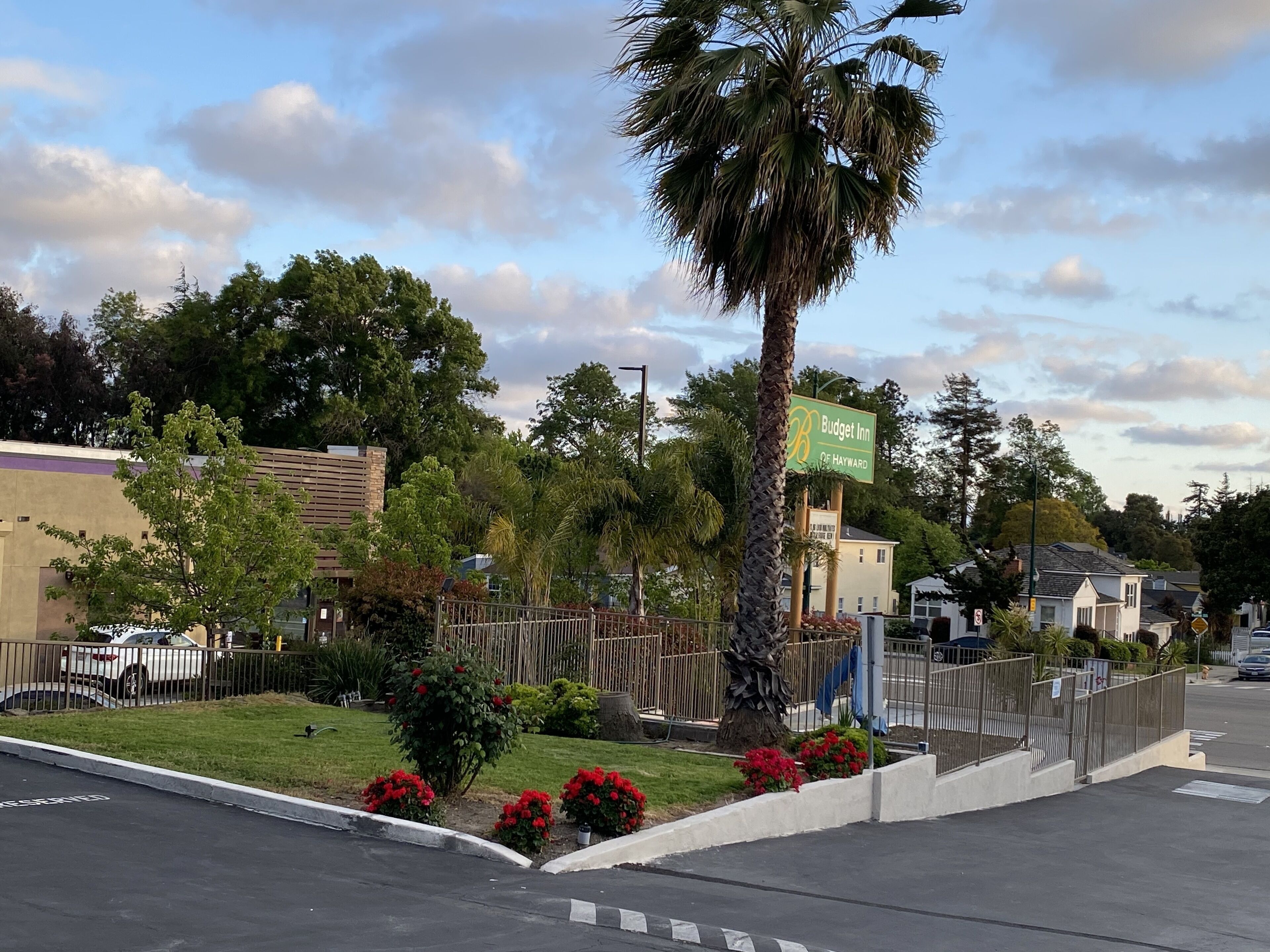 Vista de la calle con un letrero de Budget Inn, una palmera y un área de estacionamiento cercada con flores rojas.