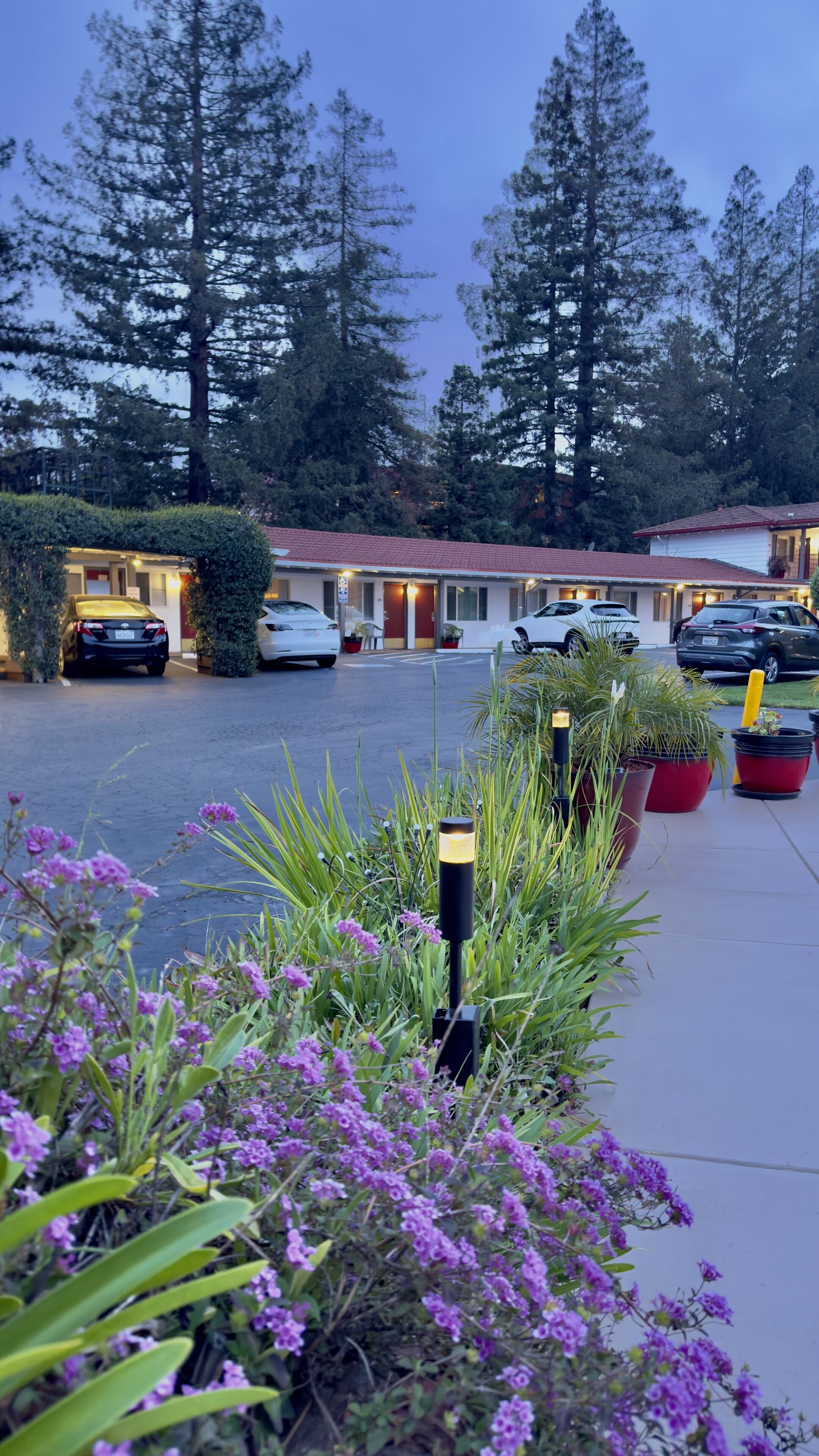 Foto - The Palo Alto Inn