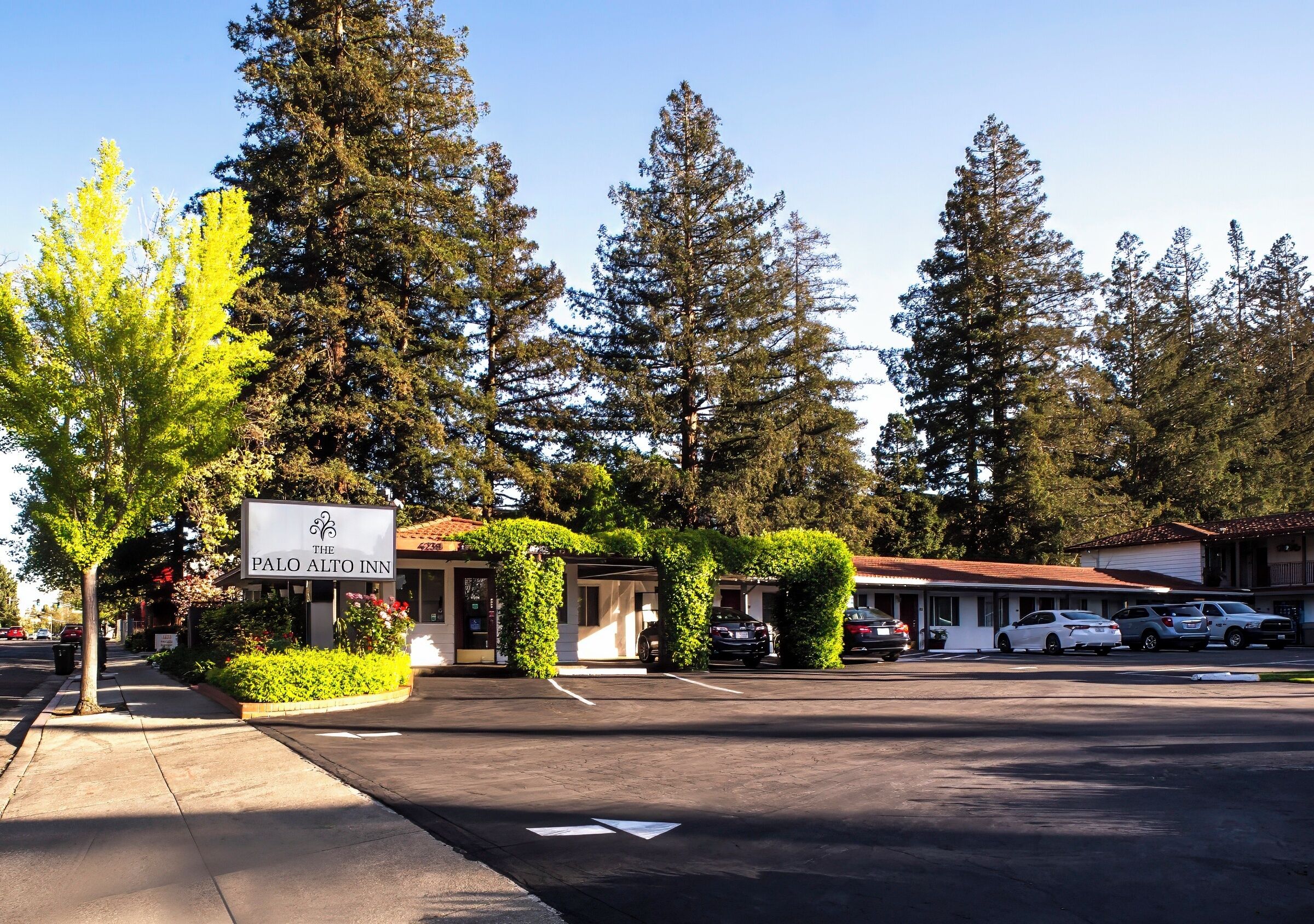 Foto - The Palo Alto Inn