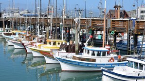 A marina with various boats docked. - Kimpton Alton Fisherman's Wharf by IHG (San Francisco)