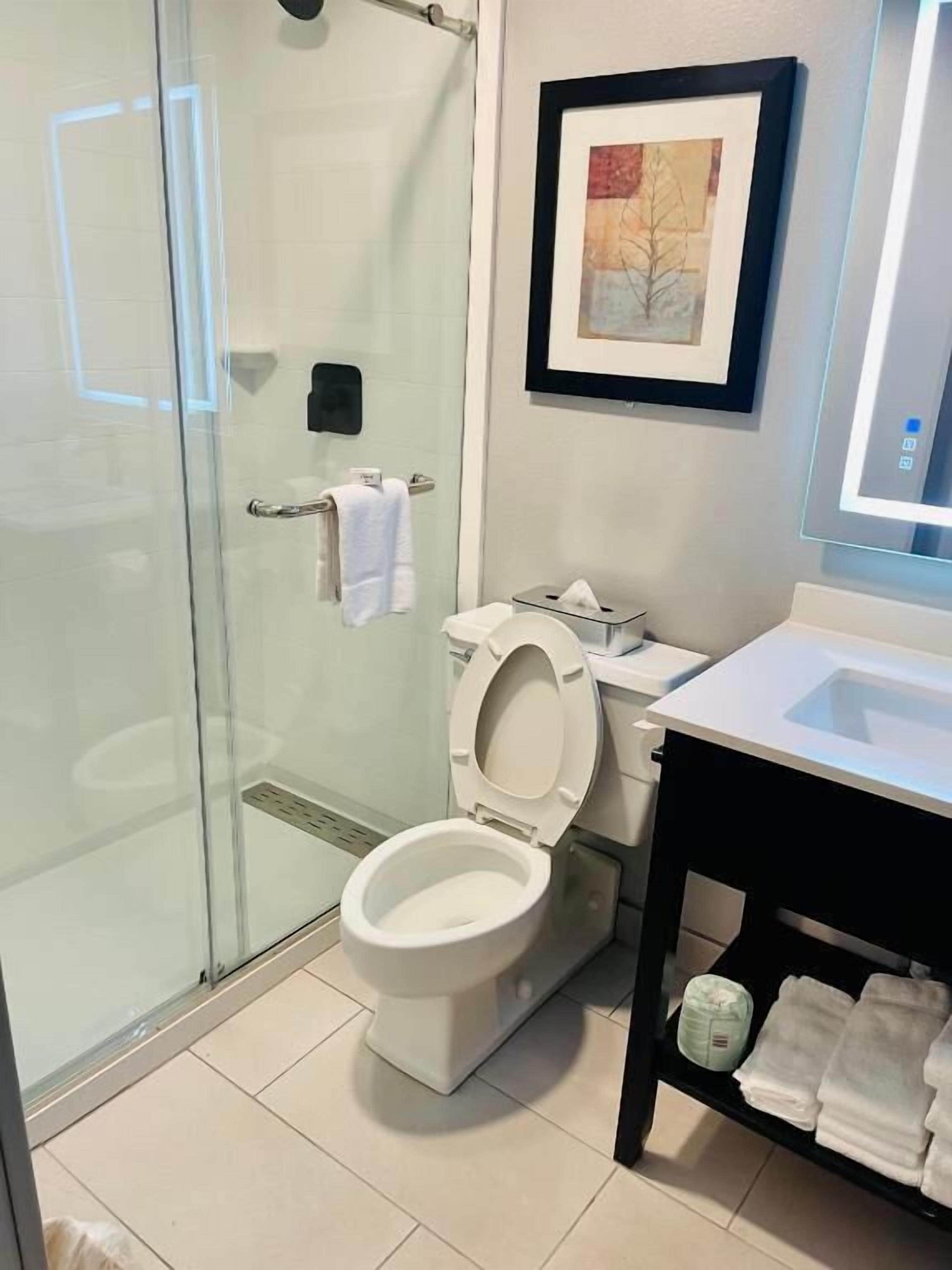combined shower/bathtub, free toiletries, hair dryer, towels