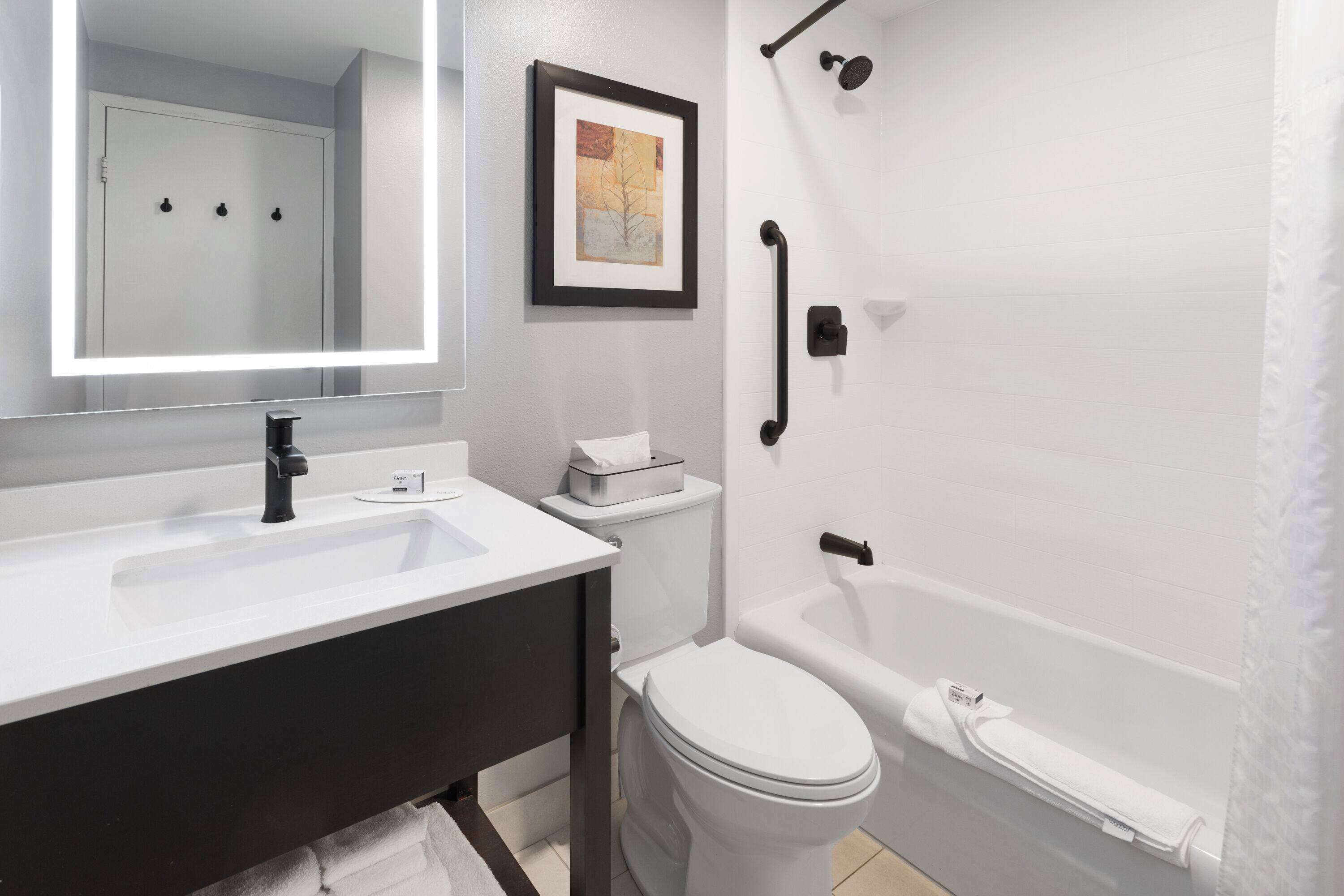 combined shower/bathtub, free toiletries, hair dryer, towels