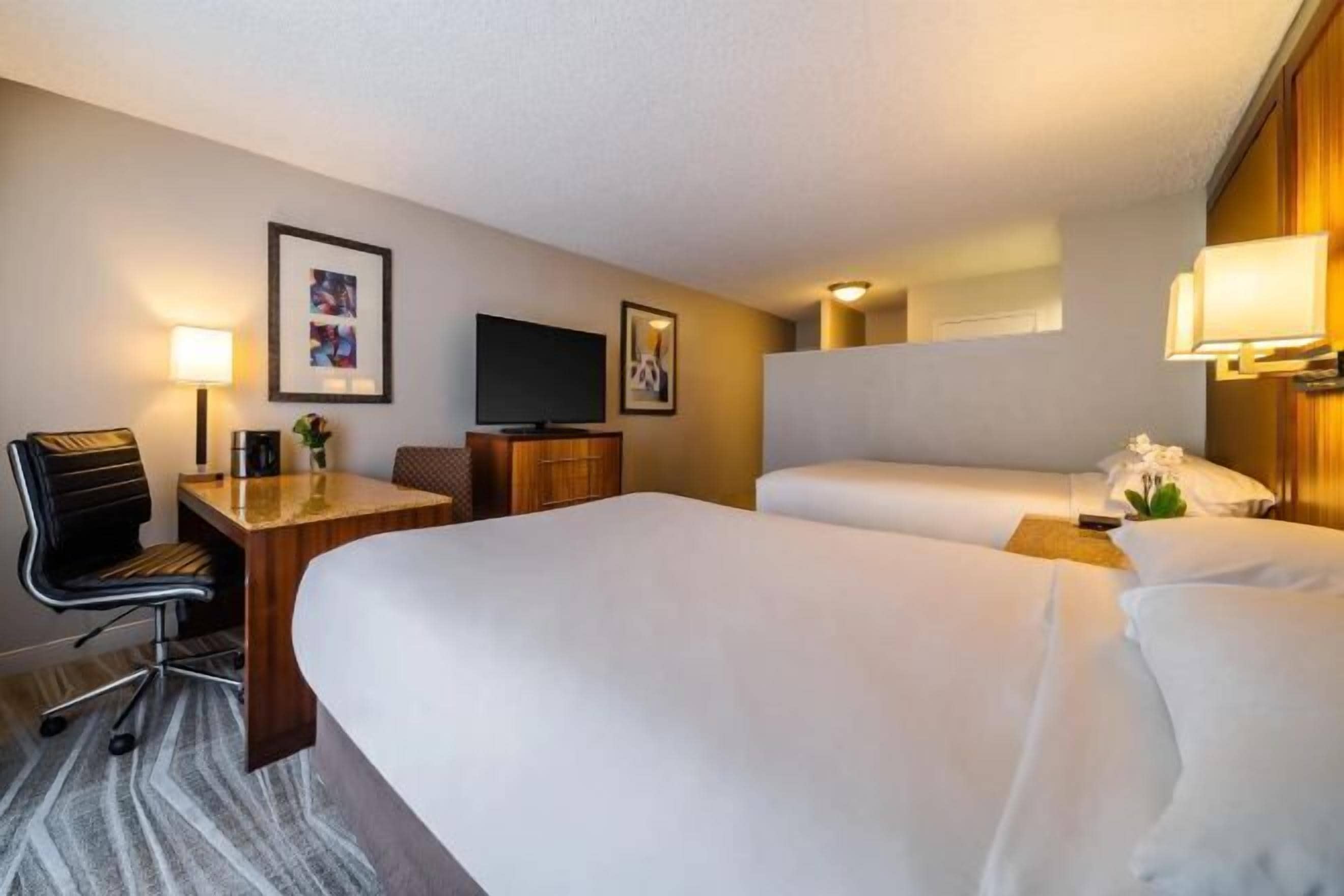 Premium bedding, down comforters, in-room safe, desk