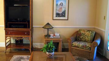 Televisión, reproductor de DVD