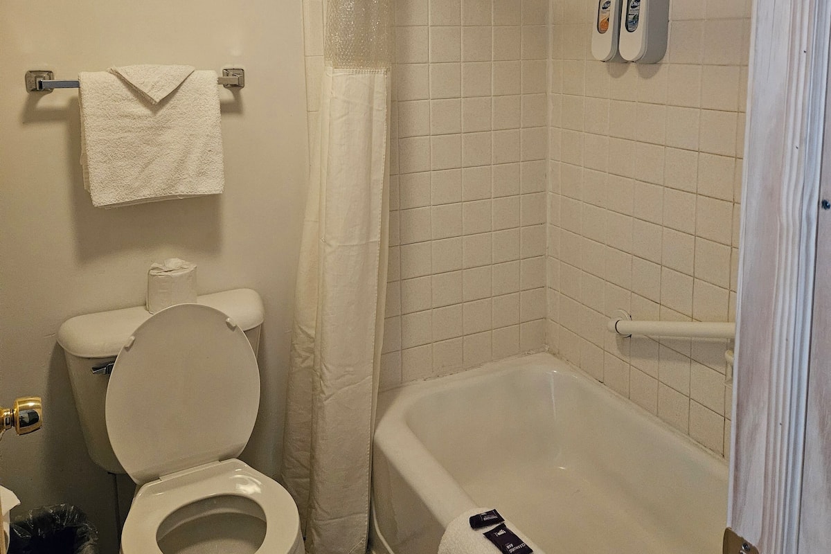 Une salle de bain avec des toilettes, une baignoire et un rideau de douche. Il y a deux distributeurs de savon fixés au mur.