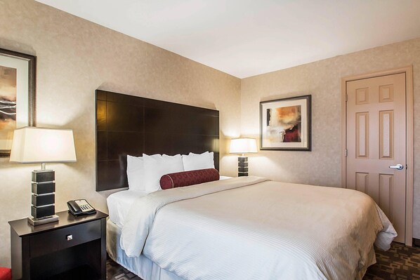 A hotel room with a large bed, two bedside tables with lamps, a telephone, and a framed picture on the wall. - Clarion Inn Elmhurst - Oak Brook near I-88, I-290, I-294 (Elmhurst)