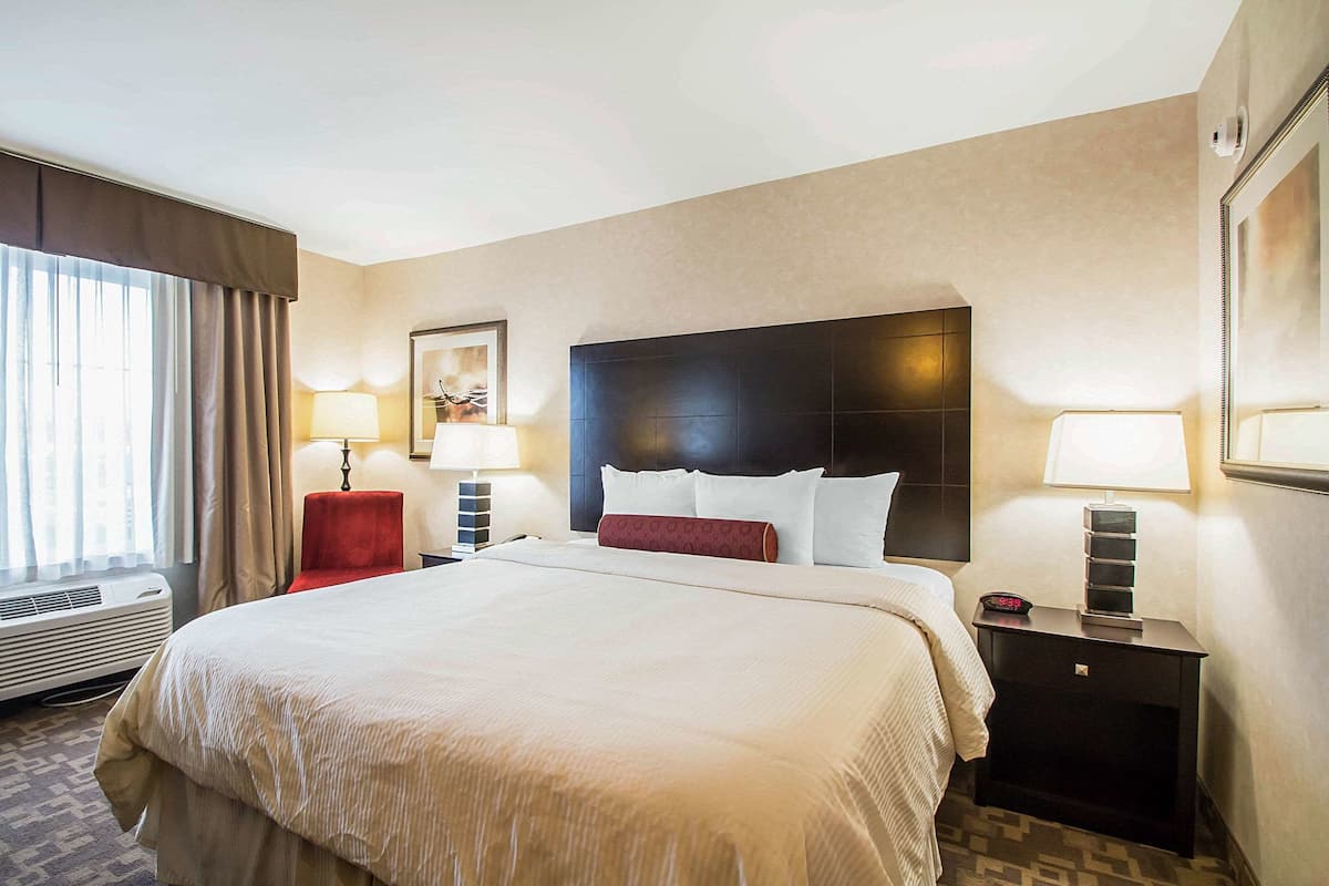 Standard Room, 1 King Bed, Non Smoking | Desk, iron/ironing board, free cots/infant beds, rollaway beds