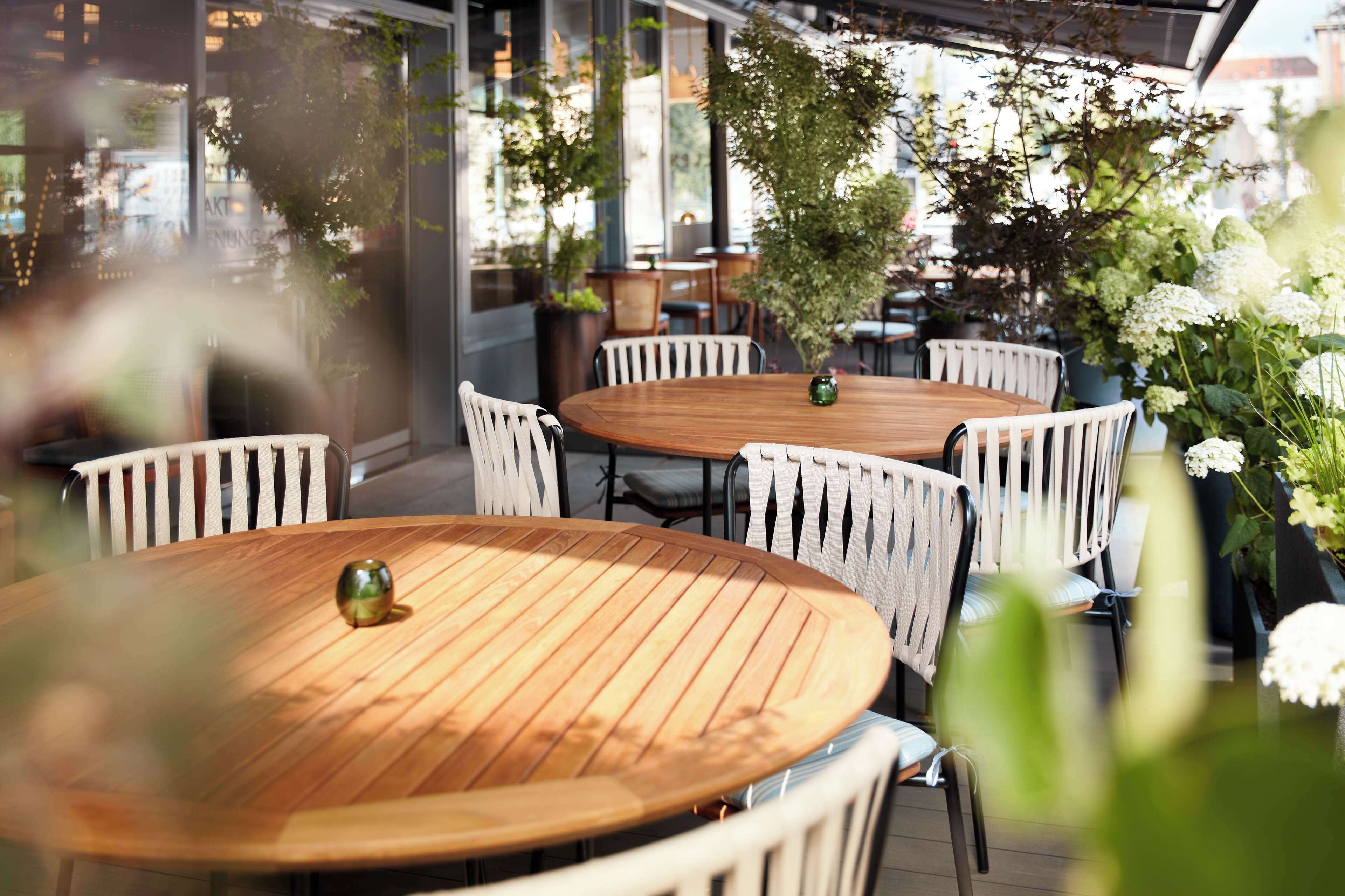 serves lunch and dinner