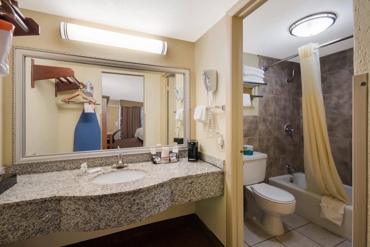 Et badeværelse på et hotel med vask med granitbordplade, et stort spejl, en hårtørrer, en bruseforhæng og et toilet.
