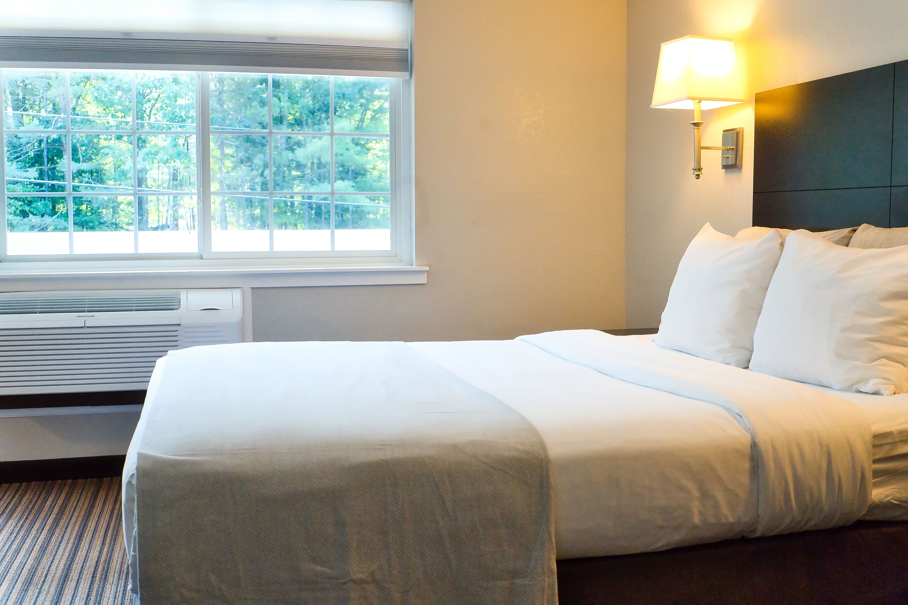 Une chambre d’hôtel avec un grand lit, une fenêtre donnant sur des arbres, une lampe fixée au mur et un appareil de climatisation.