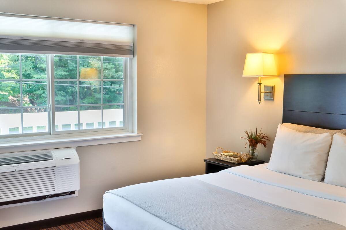 A hotel room with a large bed, a window with blinds, a wall-mounted air conditioner, a bedside table with a lamp, and a small plant.