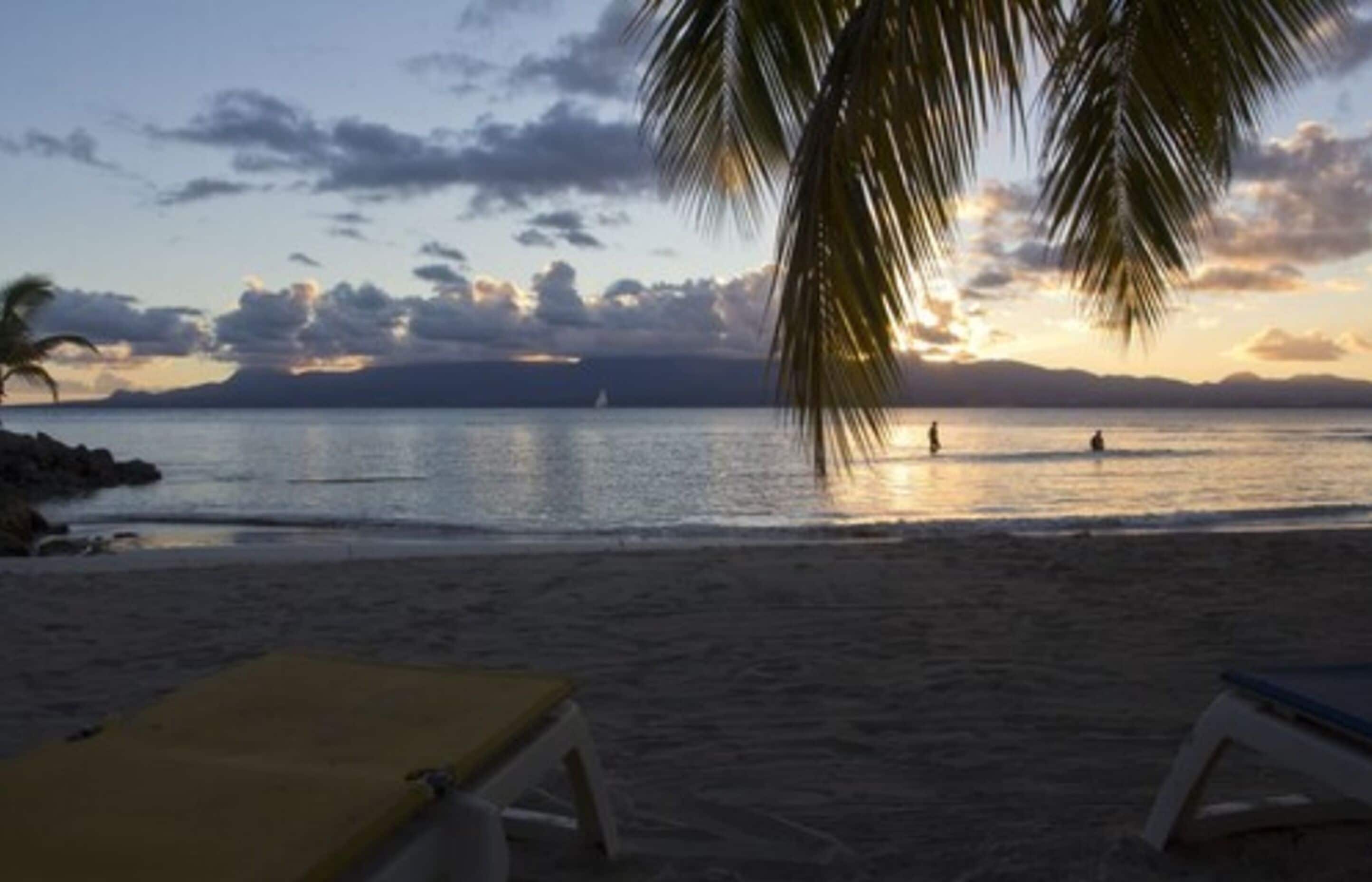A beach with two lounge chairs, a palm tree, and a sunset over the water.